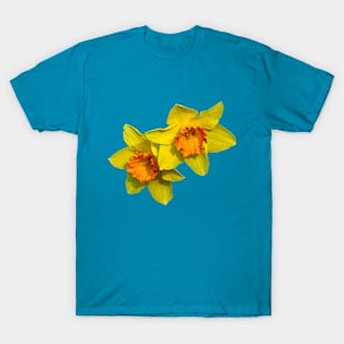 Daffodil T-Shirt